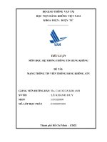 TIỂU LUẬN môn học hệ THỐNG THÔNG TIN HÀNG KHÔNG đề tài MẠNG THÔNG TIN VIỄN THÔNG HÀNG KHÔNG ATN 