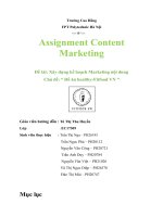 Assignment content marketing đề tài xây dựng kế hoạch marketing nội dung chủ đề đồ ăn healthy fitfood VN 