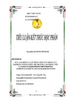 SỨC LAO ĐỘNG LÀ GÌ. PHÂN TÍCH TÁC ĐỘNG CỦA ĐẠI DỊCH COVID 19 ĐẾN THỊ TRƯỜNG LAO ĐỘNG VIỆT NAM. ĐỀ XUẤT GIẢI PHÁP ĐỂ PHÁT TRIỂN THỊ TRƯỜNG LAO ĐỘNG SAU KHỦNG HOẢNG ĐẠI DỊCH COVID 19