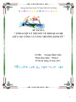 TÓM LƯỢT LÝ THUYẾT VỀ MỐI QUAN HỆ GIỮA NỢ  CÔNG VÀ TĂNG TRƯỞNG KINH TẾ