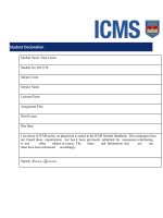 Group work master of business management