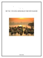 VĂN HÓA SINH HOẠT CHỢ NỔI NAM BỘ