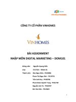 BÀI ASSIGNMENT NHẬP môn DIGITAL MARKETING – DOM101 CÔNG TY cổ PHẦN VINHOMES 