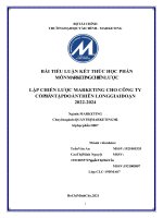 BÀI TIỂU LUẬN KẾT THÚC HỌC PHẦN MÔN  MARKETING CHIẾN LƯỢC  LẬP CHIẾN LƯỢC MARKETING CHO CÔNG TY CỔ  PHẦN TẬP ĐOÀN THIÊN LONG GIAI ĐOẠN  20222024