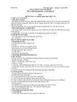 GIÁO án lớp 2 kết nối TRI THỨC GIÁO án NGANG  tuần 11   15 năm 2022 