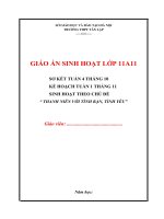 Giáo án sinh hoạt lớp thi giáo viên chủ nhiệm giỏi, chuẩn