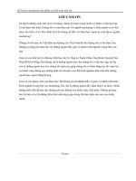 Kế hoạch marketing sản phẩm cá lưỡi trâu tẩm mè