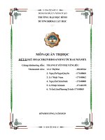 MÔN QUẢN TRỊ HỌC ĐỀ TÀI KẾ HOẠCH KINH DOANH NƯỚC RAU MÁ MIX