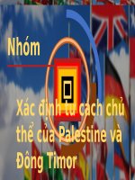 Slide thuyết trình xác định tư cách chủ thể palestine và đông timor (công pháp quốc tế)