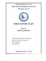 BÁO CÁO TIỂU LUẬN TÊN ĐỀ TÀI ĐIỆN TỬ THÔNG TIN
