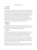 ORANGE-PINEAPPLE-JAM-procedure-lab-report