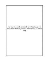 Vận dụng nguyên tắc thống nhất lý luận và thực tiễn trong sự nghiệp đổi mới ở Việt Nam hiện nay