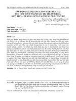 TÁC ĐỘNG CỦA QUẢNG CÁO VÀ KHUYẾN MÃI ĐẾN VIỆC HÌNH THÀNH GIÁ TRỊ THƯƠNG HIỆU ĐIỆN THOẠI DI ĐỘNG OPPO TẠI THÀNH PHỐ CẦN THƠ