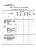 MA TRẬN, đặc tả, đề KT GKII   sử 9 