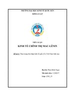 TIỂU LUẬN KINH TẾ CHÍNH TRỊ MAC-LÊNIN Đề tài Thực trạng hội nhập kinh tế quốc tế ở Việt Nam hiện nay