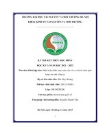 Phân tích chiến lược toàn cầu và cơ cấu tổ chức công ty coca cola