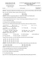Đề thi thử tốt nghiệp THPT năm 2022 môn Sinh học có đáp án - Trường THPT Hải Lăng