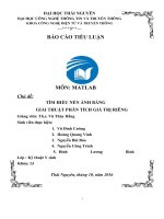 TIỂU LUẬN môn MATLAB chủ đề tìm HIỂU nén ẢNH BẰNG GIẢI THUẬT PHÂN TÍCH GIÁ TRỊ RIÊNG 