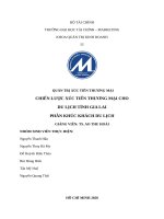 Chiến lược xúc tiến thương mại du lịch tỉnh gia lai