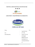 ASSIGNMENT – NHẬP MÔN DIGITAL MARKETING Công ty cổ phần sữa Việt Nam vinamilk