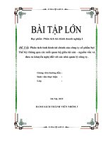 Phân tích tình hình tài chính của công ty cổ phần Sợi Thế Kỷ thông qua các mối quan hệ giữa tài sản – nguồn vốn và đưa ra khuyến nghị đối với các nhà quản lý công ty