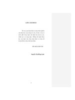 Luận văn Thạc sĩ Luật học: Thực hiện pháp luật cạnh tranh trong lĩnh vực viễn thông ở Việt Nam