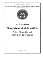 Giáo trình Phay, bào rãnh chốt, đuôi én (Nghề: Cắt gọt kim loại - Trung cấp) - Trường TCN Kỹ thuật công nghệ Hùng Vương