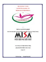 TIỂU LUẬN TỐT NGHIỆP PHÂN TÍCH CHIẾN LƯỢC KINH DOANH CỦA CÔNG TY CỔ PHẦN MISA