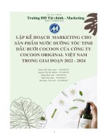 lập kế hoạch marketing cho sản phẩm nước dưỡng tóc tinh dầu bưởi cocoon của công ty cocoon original  việt nam trong giai đoạn 2022  2024