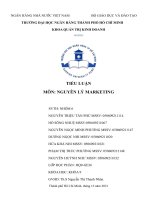 Chiến lược marketing của thương hiệu gà rán KFC