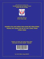 (Luận văn thạc sĩ) nghiên cứu khả năng ứng dụng bê tông rỗng trong xây dựng vỉa hè và các công trình công cộng 