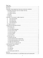 Môi trường và chiến lược kinh doanh của doanh nghiệp pepsico