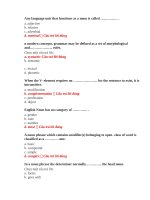 Đáp án ngữ pháp lý thuyết EN13