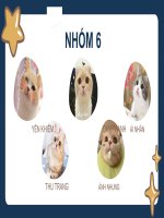 tiểu luận phân tích chiến lược marketing 40 của bitis 