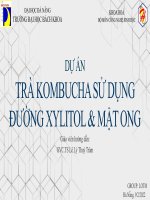 DỰ án TRÀ KOMBUCHA sử DỤNG ĐƯỜNG XYLITOL  mật ONG 