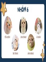 tiểu luận phân tích chiến lược marketing 40 của bitis