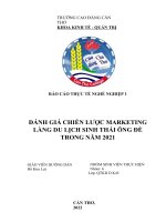ĐÁNH GIÁ CHIẾN lƣợc MARKETING LÀNG DU LỊCH SINH THÁI ÔNG đề TRONG năm 2021 