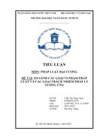 So sánh các loại vi phạm pháp luật và các loại trách nhiệm pháp lý tương ứng