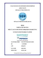 QUẢN TRỊ THƯƠNG HIỆU (833315) ĐỀ TÀI CHIẾN LƯỢC THƯƠNG HIỆU CỦA SUNTORY PEPSICO HOẠT ĐỘNG MARKETING XÂY DỰNG THƯƠNG HIỆU CỦA PEPSI