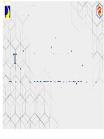 DỰ án TRÀ KOMBUCHA sử DỤNG ĐƯỜNG XYLITOL  mật ONG 