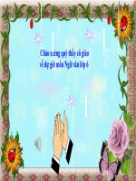 Giáo án ôn tập học kì 2 ngữ văn 6 sách kết nối tri thức với cuộc sống, chuẩn