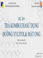 DỰ án TRÀ KOMBUCHA sử DỤNG ĐƯỜNG XYLITOL  mật ONG 