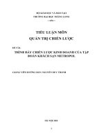 TRÌNH bày CHIẾN lược KINH DOANH của tập đoàn KHÁCH sạn METROPOL