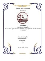 Bài tập nhóm công pháp quốc tế về xác định tư cách chủ thể luật quốc tế của kosovo và palestine