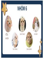 tiểu luận phân tích chiến lược marketing 40 của bitis 