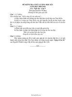 Đề và đáp án kiểm tra chất lượng học kì I Ngữ văn lớp 9  Năm học 2009201052