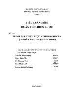 TIỂU LUẬN môn QUẢN TRỊ CHIẾN lược đề tài TRÌNH bày CHIẾN lược KINH DOANH của tập đoàn KHÁCH sạn METROPOL 