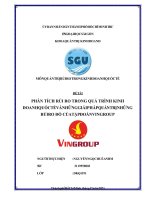 MÔN QUẢN TRỊ RỦI RO TRONG KINH DOANH QUỐC TẾ ĐỀ TÀI PHÂN TÍCH RỦI RO TRONG QUÁ TRÌNH KINH DOANH QUỐC TẾ VÀ NHỮNG GIẢI PHÁP QUẢN TRỊ NHỮNG RỦI RO ĐÓ CỦA TẬP ĐOÀN VINGROUP
