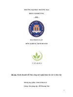 THẢO LUẬN NHÓM TMU môn KHỞI sự KINH DOANH đề tài kinh doanh đồ thủ công mỹ nghệ làm từ cói và bèo tây 