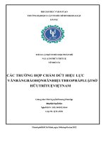 TIỂU LUẬN KẾT THÚC HỌC PHẦN MÔN LUẬT SỞ HỮU TRÍ TUỆ TÊN ĐỀ TÀI CÁC TRƯỜNG HỢP CHẤM DỨT HIỆU LỰC VĂN BẰNG BẢO HỘ NHÃN HIỆU THEO PHÁP LUẬT SỞ HỮU TRÍ TUỆ VIỆT NAM
